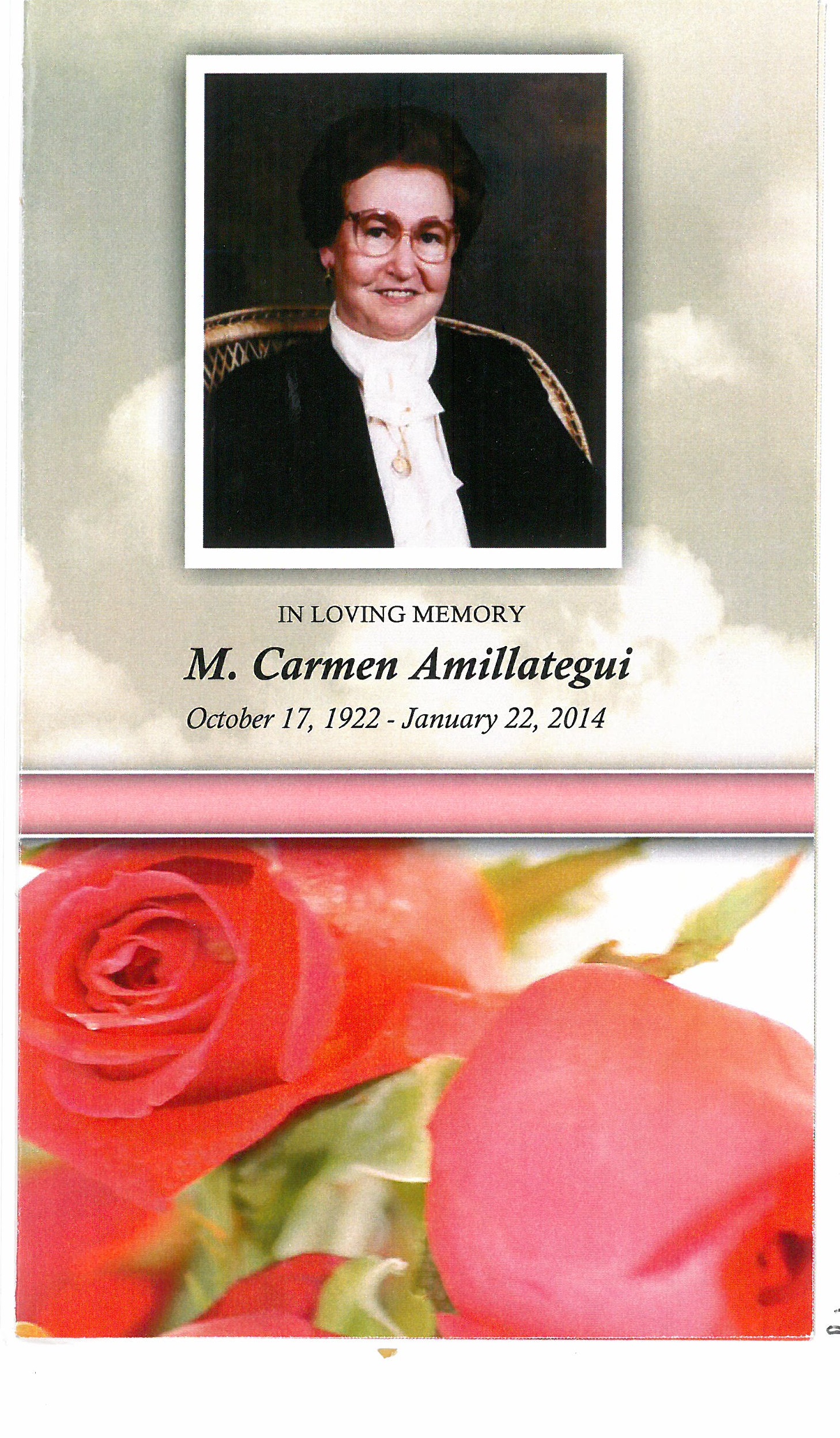 Amillategui20Maria20Carmen20Barquin20Torre203