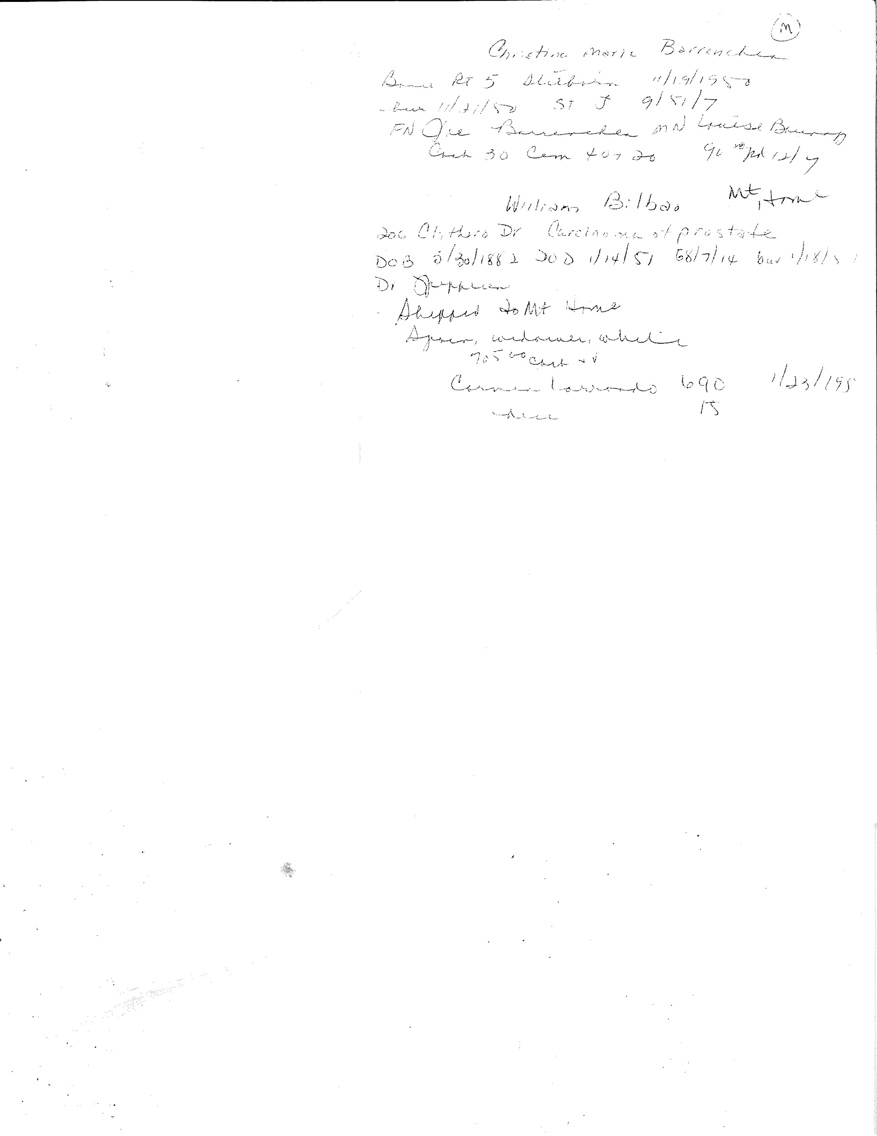 Barrenechea_-Christgina-Marie