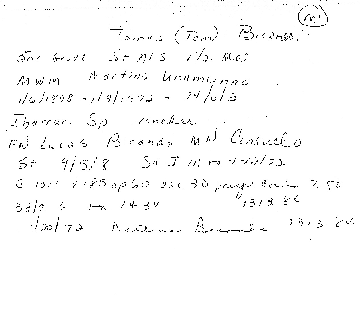 Bicandi20Tomas20Tom201_0